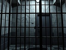 Обвиняемого в смерти «краснодарского каннибала» выпустили досрочно