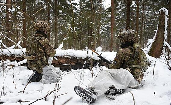 Боровшийся с Россией британский солдат лишился речи от холода