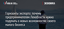 Горизонты экспорта: почему предпринимателям Ленобласти нужно подумать о новых возможностях своего малого бизнеса