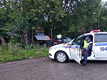 Пьяный водитель снес дорожный указатель, уходя от полицейской погони