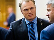 Депутаты-русовобы не прошли в Раду - журналистка