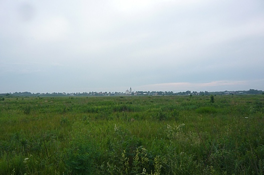 Заливные луга в Большом Козино хотят превратить в место для добычи песка