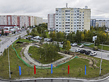 Новую круглогодичную площадку для выгула собак откроют в Надыме в 2025 году