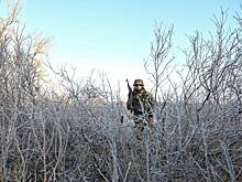 Украина начала выводить спецназ ГУР с волчанского направления