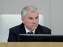 Володин предложил ежемесячно оценивать, как проходит реализация госпрограмм