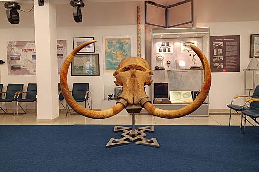 В Калининград привезли скелет древнего ихтиозавра и череп настоящего мамонта