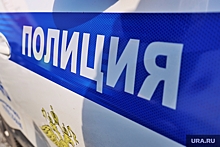 Полиция Шадринска просит депутатов помочь найти деньги на уборку конопли