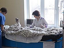 Обгоревшие запорожские шахтеры доставлены в больницу в критическом состоянии