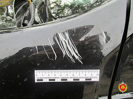 Лошадь в Воложине погрызла новенький Renault Duster