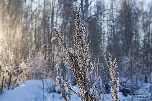 К концу недели в Свердловской области станет теплей