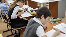 В российских школах предложили ввести «индекс дружелюбия»