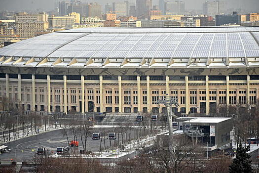 Экстремальные развлечения для любителей высоты появятся в «Лужниках»