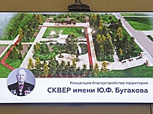 В Новосибирске депутаты обсудили концепцию сквера памяти Юрия Бугакова