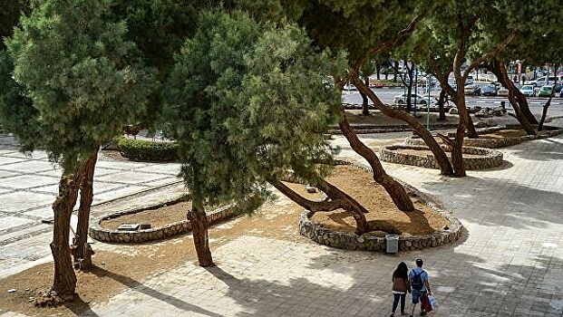 Израиль постепенно выходит из карантина, открываются парки