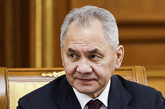 Шойгу: Россия готова делиться с Вьетнамом опытом, накопленным за время СВО