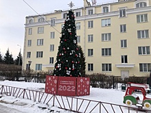 Новогодние елки установили на территории поселения Михайлово-Ярцевское