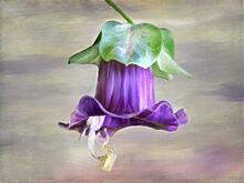 В МПГУ подготовили онлайн экспозицию пейзажной живописи