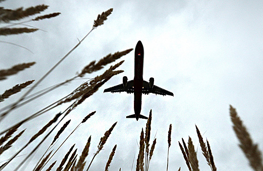 После трагедии под Тындой Ространснадзор проверит региональные авиакомпании