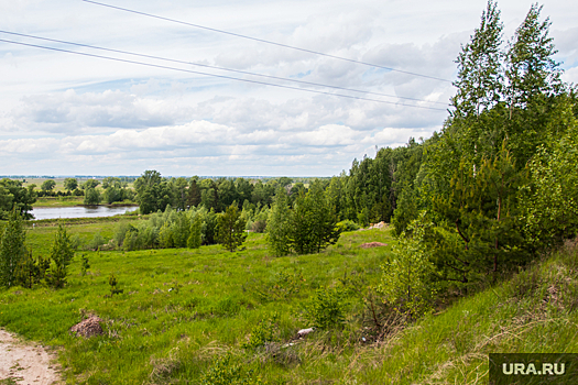 В Челябинске земельные участки бесплатно получили 50 многодетных семей