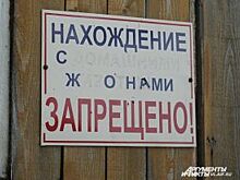 Новосибирский театр поставит спектакль по «народной мудрости» с заборов