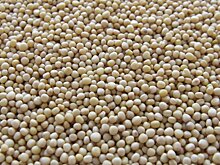 Из Пензенской области отправили зерно в Латвию, Бельгию и Турцию