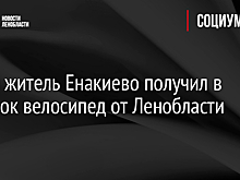 Юный житель Енакиево получил в подарок велосипед от Ленобласти