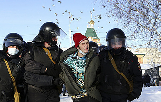 МВД привело данные о количестве участников несанкционированных акций в Сибири