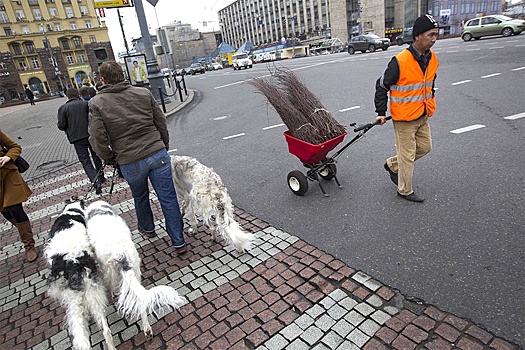 Коммунальщики рассказали, как аномальная зима влияет на уборку улиц в Москве