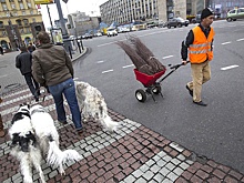 Коммунальщики рассказали, как аномальная зима влияет на уборку улиц в Москве
