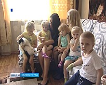 Многодетные семьи в Калининграде получили право на выплаты вместо земельных участков
