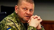 Ольшанский: Запад перечислил пять главных провалов главнокомандующего ВС Украины Залужного