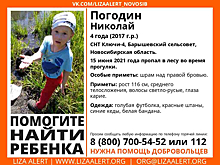 Под Новосибирском в лесу потерялся ребенок: волонтеры готовят сбор на поиск