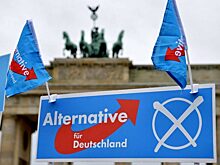 ВЗГЛЯД: Шольц попытается подавить инициативу АдГ о прекращении обучения ВСУ в стране