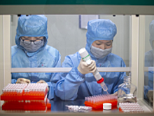 В Китае нашли чудо-снадобье против коронавируса
