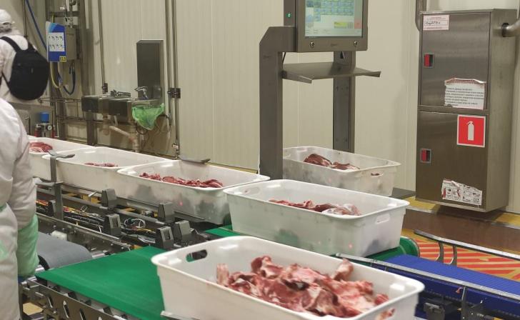 В Курской области произведено 171,5 тыс. тонн мяса и 88,2 тыс. тонн молока