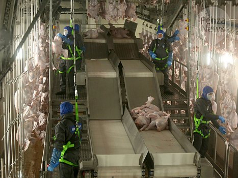 Производство мяса в Пензенской области в январе-июне выросло на 12,6%