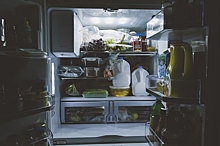 Правила хранения продуктов в холодильнике для продления их срока жизни