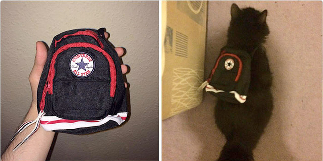 «Мама заказала племяннику в интернете рюкзак Converse для школы, а привезли это».