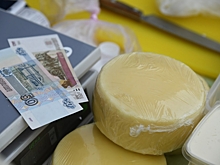 В Волгограде ветеринарного врача оштрафовали за липовые документы на сыр