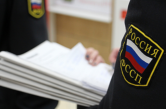 Совет Федерации одобрил закон об «исполнительной амнистии»