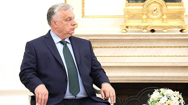 7729d2e02269b59286cb05356ec57b2b?img-format=auto&img-1-resize=height:350,fit:max&img-2-filter=sharpen