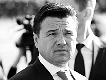 Воробьев назначил ответственного по экологии на полигоне «Ядрово»