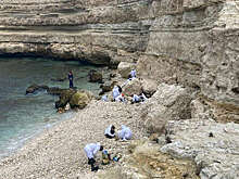 "Чистая Арктика" помогла вывезти 12 тонн загрязненного грунта из-под Балаклавы