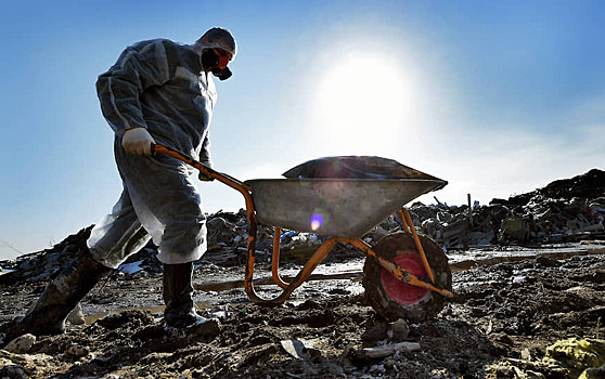 Оценен объем выбрасываемого человеком мусора