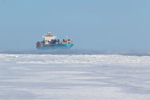 США отметили усиление сотрудничества России и КНР в Арктике