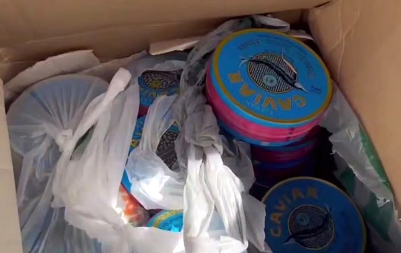 Контрабандную черную икру на 1,2 млн рублей конфисковали в Краснодаре