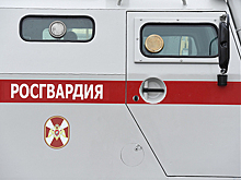 Машина Росгвардии сбила ребенка на "зебре"