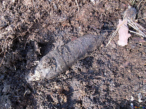 В Железногорском районе Курской области от взрыва снаряда времен войны погиб ребенок