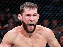 Шаблий победил Фрейре на турнире Bellator в Чикаго