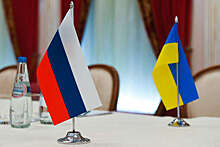 МИД Австрии: переговоры по Украине начнутся по желанию России